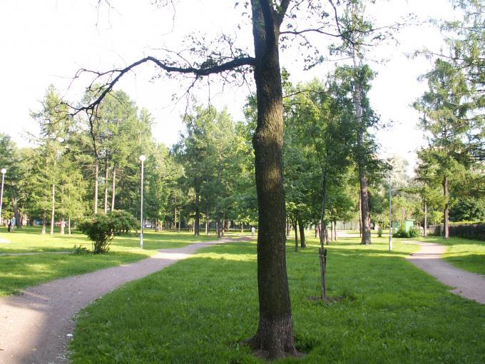 парк (сад, сквер) 