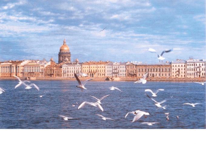 Где в Санкт-Петербурге находился рынок?