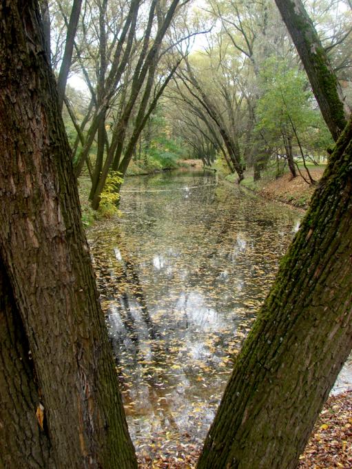 канал или канава