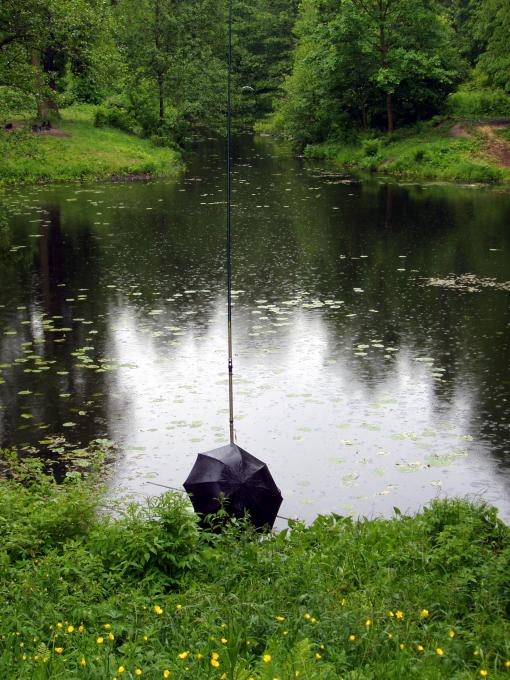 Рыбалка под дождём. Где сидит рыбак?